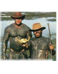 Bush Tucker Recipes