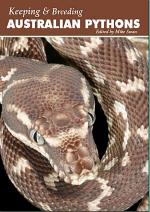 Has anyone got an Oenpelli Python? - Aussie Pythons & S