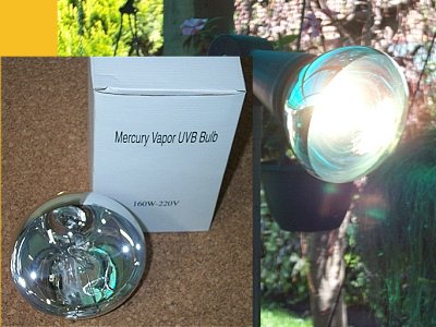 mercury vapor light